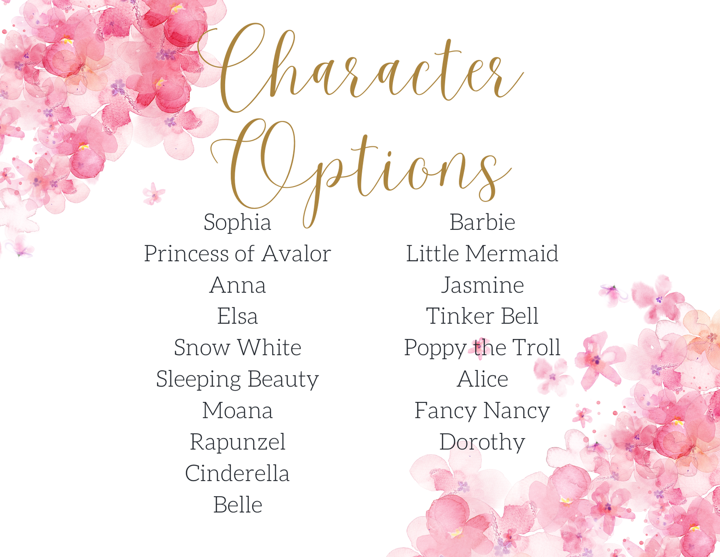 Princess Party Packages